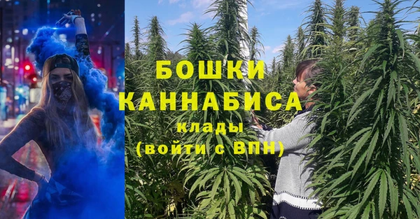 гашик Медногорск