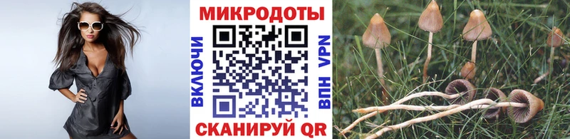 Псилоцибиновые грибы Psilocybe Саратов